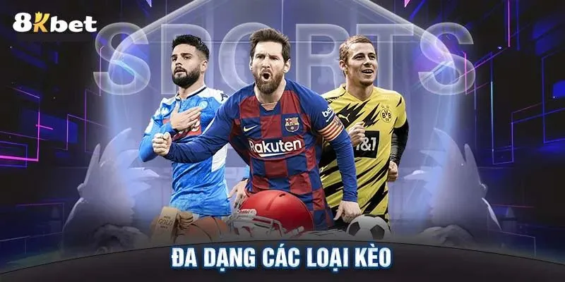 Sảnh thể thao đa dạng